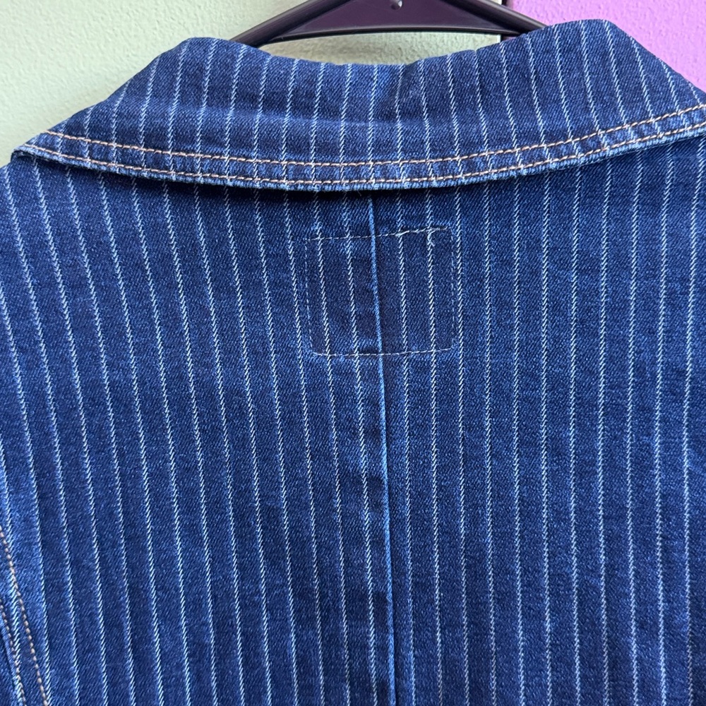 Denim Blue Pinstripe Jacket by Dictionary - Picture 3 of 8